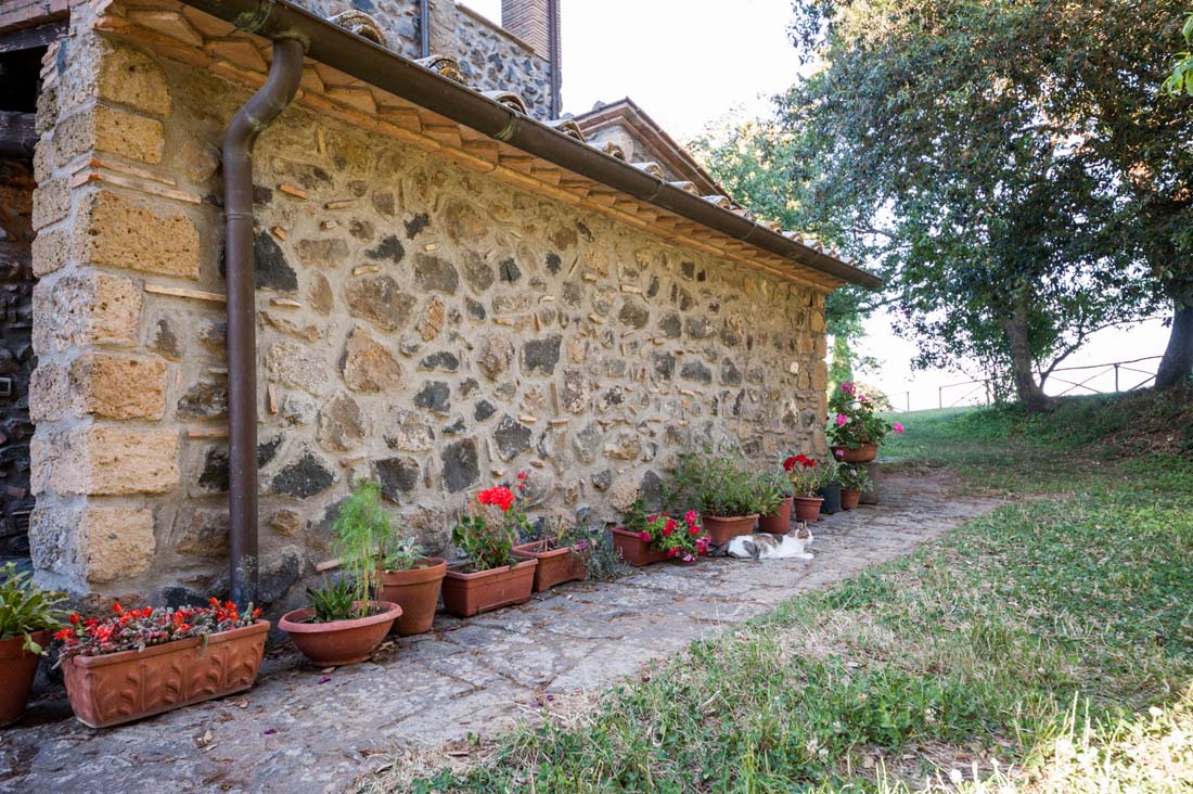 agriturismo tuscia